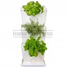 Kit mur végétal MiniGarden One Blanc 24,6x19x57cm