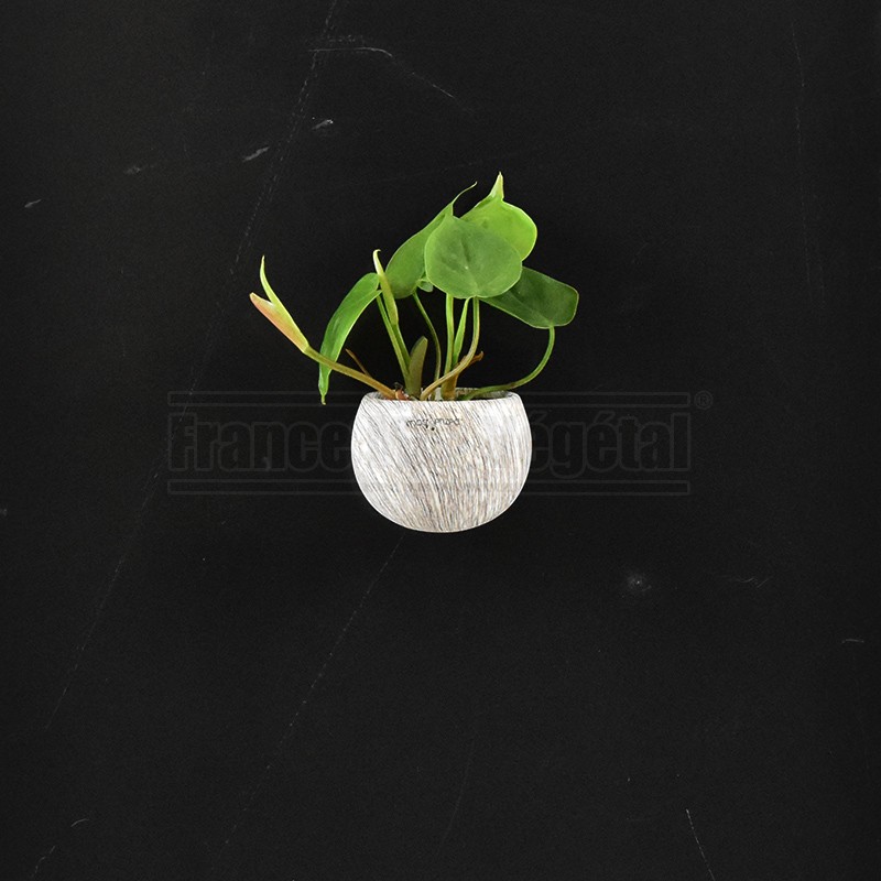 Cache-pot blanc - Ø9cm – La Green Touch