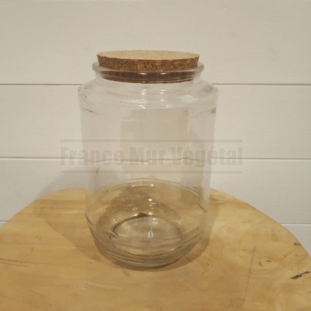 Bocal En Verre Pour Terrarium Avec Bouchon Liège 30cm