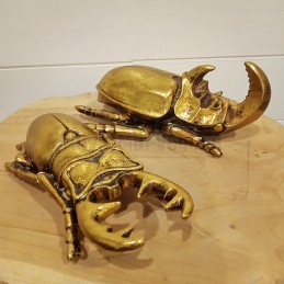 Lot de 2 scarabées dorés en...