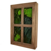 La Fenêtre Végétale